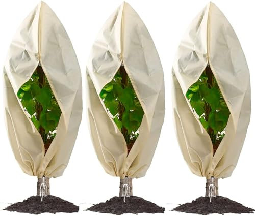 3 Stück Winterschutz für Pflanzen,Atmungsaktiv 85 g/m² Winterschutz Kübelpflanzensack pflanzenschutz Winter mit Reißverschluss und Zugband Beige（ 80 * 100cm）