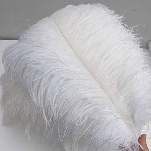 Shekyeon White 16-18inch Ostrich Feathers DIY Craft Large Feather for Wedding Party Centerpicecs Flower Arrangement and Easter Gatsbi Decortion Pack of 10