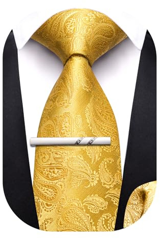 Barry.Wang Gold Boys Tie School Pre-Tied Kids Necktie Handkerchief Clip Set Uniforms Child Ties for 8-14 Years Wedding Paisley