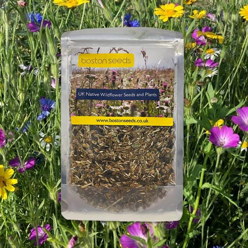 Boston Seeds Butterfly & Bee Wildflower Seeds BSBP 100% - Wild Flowers Seeds UK for Wildflower Meadow. 100% British Native Meadow Flowers for Bees, Butterflies & Other Pollinators (100g)