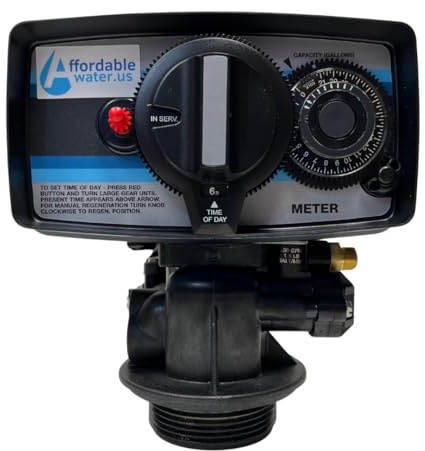 Fleck 5600 Analog Mechanical Metered Water Softener Replacement Valve - On Demand Head with Paddlewheel Meter