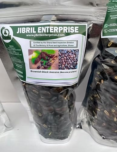 Brownish-black mucuna pruriens, 100% natural and organic, no additives, including phyto sanitary certificate (500g)