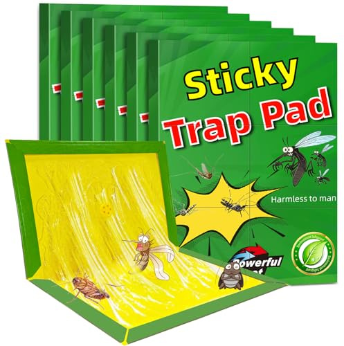 6 Piezas de trampas para ratón, Trampa para Rata, antiplacas Adhesivas para ratóns, Placas de glu Anti, Potente ratón con Trampa, Mulot Exterior eficaz Interior