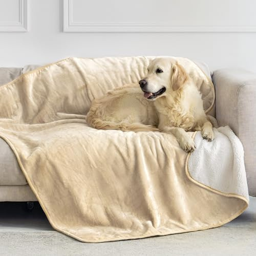 Dreamzie - Manta Impermeable Perro 127x152 cm - Manta para Perros Reversible y Lavable - para Sofá y Cama - para Perro Pequeño - Sherpa -Beige