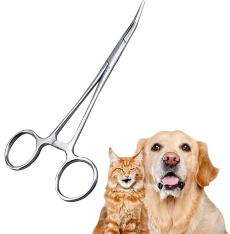 Pince Oreille Chien BNOYONERAS, Moderne, Argent, Acier Inoxydable, Pince à Poils de Chat et de Chien, Pince Hémostatique, Pinces Vétérinaires