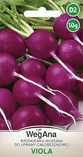 Rábano Viola 10g - WegAna