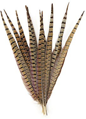 Pheasant Tail Feather Craft Supplies - 14-18 Golden Brown Natural Home Decor 10pcs