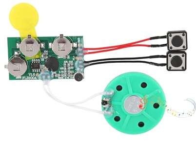 Wiederaufzeichnbares Sound-Chip-Modul, Grußkartenchip, zum Basteln, Chip-Modul für Musikaufnahme, 120 Sekunden, für Karten/Spielzeug