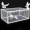 WXXSHGDW Trampa para Pájaros, Jaula Trampa para Pajaros con Diseño a Prueba de Escape, Jaula Trampa Palomas, Trampa para Gorriones 4 Importadas, Diseño de Tragaluz Superior, Fácil de Sacar(60x60x26cm/
