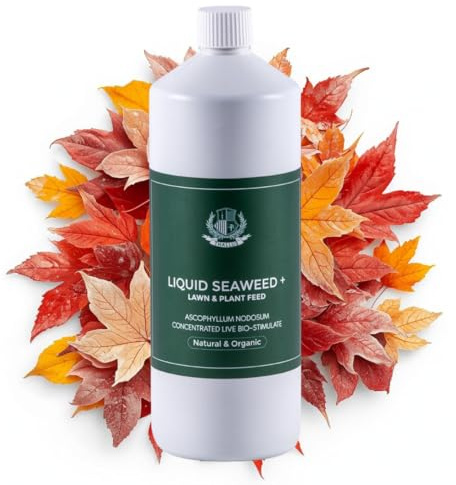 Thallus Organic Liquid Seaweed Fertiliser Concentrate 1L – Premium Autumn & Winter Plant Food for Lawns, Flowers, Indoor Plants, Root Strength & Soil Improver