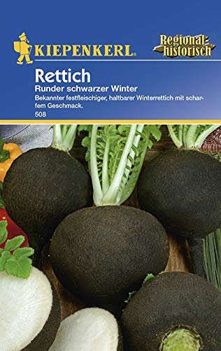 Rettichsamen - Rettich Runder Schwarzer Winter von Kiepenkerl