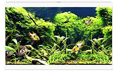 White Ciano Aqua 60 LED Tropical Glass Aquarium - Includes Filter, Lights & Heater 58L