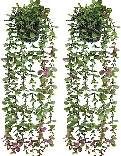 Floweroyal 2 Stücke Künstliche Hängepflanzen Gefälschte Eukalyptus-Grünpflanzen im Topf Kleine Kunstpflanzen für Regal-Wanddekoration im Innen- und Außenbereich