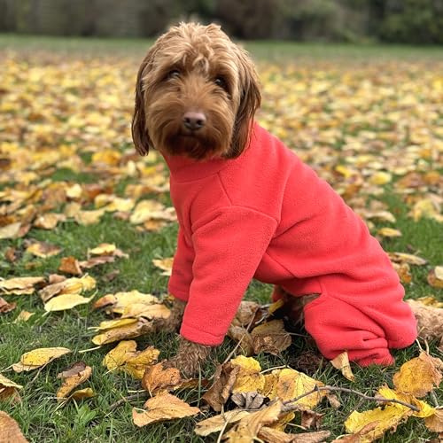 Warm Four-Legged Dog Fleece – Super Soft, Weather-Resistant (Coral, Large)