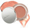 Ere Perez Carrot Colour Pot (Harmony) All in One Beauty Cream Blush - Colour Cream Blush for Cheeks, Lips & Eyes in a Pot |