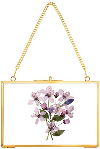 REDHUGO Hanging Pressed Flower Frame Handmade, Double Glass Picture Frame Floater frame Floating Frame for Pressed Flowers Home Wall Artwork, Rectangle Horizontal 4×6 inches, Gold (FRAME ONLY)