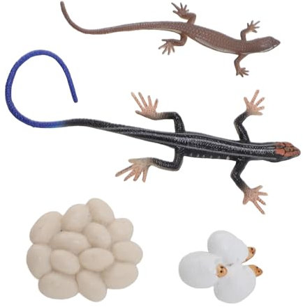 Keenso Skink -Figuren, Skink Lebenszyklus Spielzeug Figuren PVC High Simulation Tierlebenszyklus Spielzeug Sandbox Zubehör