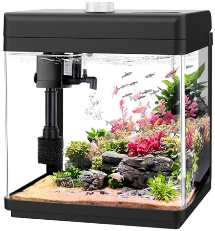 AQQA 5L Aquarium Starter Kits,Nano Fish Tank with Filter and LED Light,Self Cleaning Glass Fish Tank Kit,8 Colors Adjustable Aquarium Tank,for Betta Shrimp Goldfish,Office Desktop Decoration Kids Room