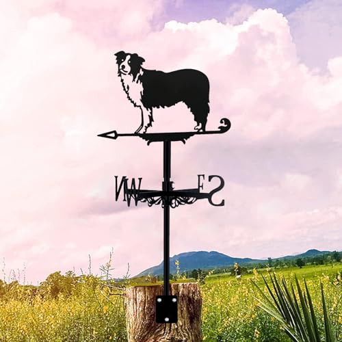 Metal Weather Vane Border Collie Weathervane 28 in Height Herding Dog Wind Vane Large Dimensiona Weathercock for Shed Garden Yard Patio Decor Shepherd Dog