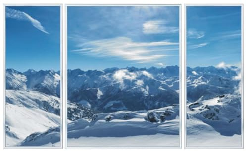RAABEC Triptychon Aluminium Bilderrahmen Silber glänzend, 50x80cm, Alurahmen ideal für Malen nach Zahlen Bilder z.B. von Schipper, fertig montiert, mit Rückwand, ohne Glas