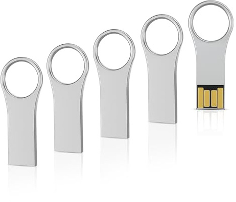 RAOYI 5 Pack 32GB Metal Key Shape USB Flash Drive, USB 2.0 Memory Stick Thumb Drives Jump Drive for PC Laptop Desktop Computer-Silver