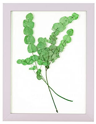 Rahmendesign24 Bilderrahmen Doppelglasrahmen Milano 40x50 Weiß (matt) Fotorahmen, Wechselrahmen, Doppelglas