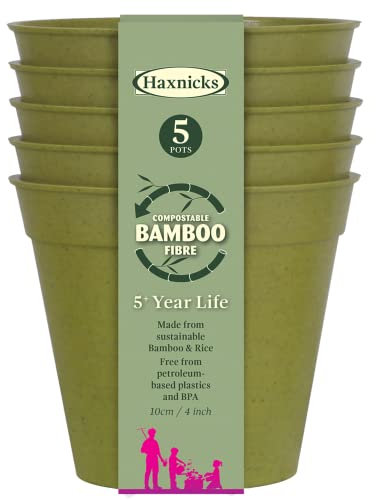 Haxnicks Pflanztopf für drinnen und draußen, nachhaltig, Bambusfaser, Durchmesser 10 cm, Salbeigrün