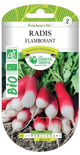 Graines de radis flamboyant BIO Les Doigts Verts