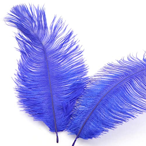 30 stycken 15–20 cm naturliga strutsfjädrar, bukettfjäder för pyssel, pysselfjädrar för gör-det-själv drömfångare tillbehör, heminredning, kostymer, bordsdekoration, bröllop, fest, hatt, kläder,