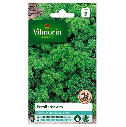 Vilmorin - Persil Frisé Alto Création