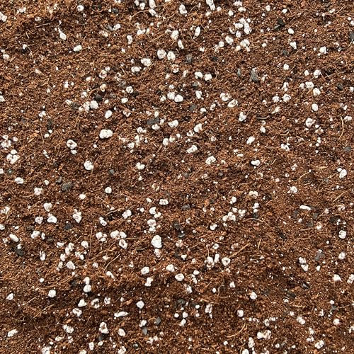 Premium Terrarium Potting Mix with Perlite & Activated Biochar – Nutrient-Rich Soil for Succulents, Moss, Air Plants & Tropicals – Superior Drainage, Root Health (1L)