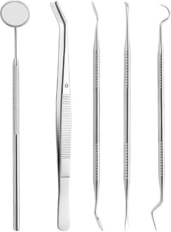 Zahnpflege Set 5 Pcs, Zahnarzt Instrumente, Zahnsteinentferner Zahnreinigung, Zahnarztbesteck Edelstahl, Zahnreinigungsset Professionell Zahnsonde Zahnhygiene Tools Mundspiegel Zahnstein Schaber