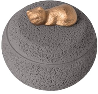 brooksnaji Boîte À Cendres pour Chien, Souvenir Cinéraire pour Crémation Canine, Boîte Décorative Mémoire pour Chat Et Chien