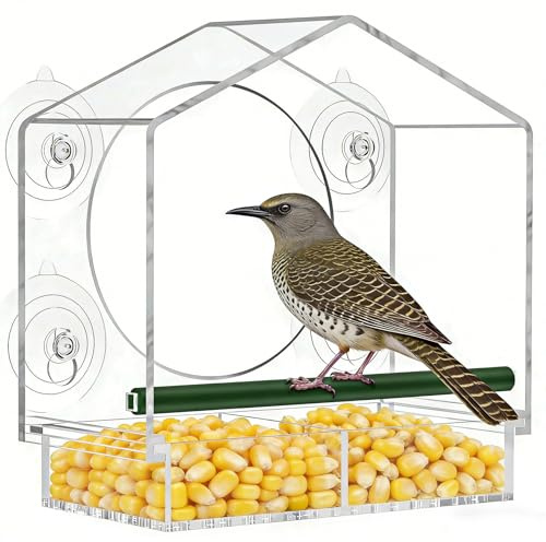 Ventana de casa de pájaros de acrílico, comedero Transparente para pájaros con Ventosa, extraíble y Lavable, a Prueba de Lluvia, para pequeñas Aves Silvestres, pinzones, herreros
