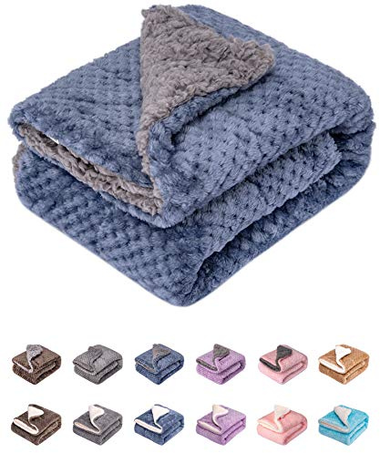 DG Plush Fleece Receiving Blanket for Dog, Cat, Pet - Warm & Soft, Couch, Sofa, Travel & Outdoor, Camping (24 x 32), Smoked Blue