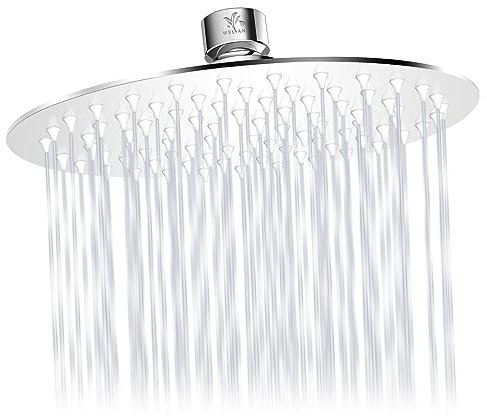 Welan Duschkopf Regendusche，20CM Regendusche Duschkopf 304 Edelstahl Runde Duschkopf Regenbrause mit Antiblockierendes Kieselgel