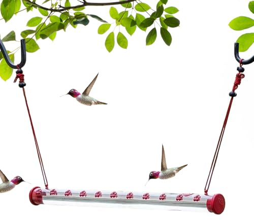 Gacqpli Distributore di mangime per uccelli da esterno – Mangiatoia tubolare per uccelli per esterni, colibrì resistente alle intemperie, per giardino, albero, balcone, esterno