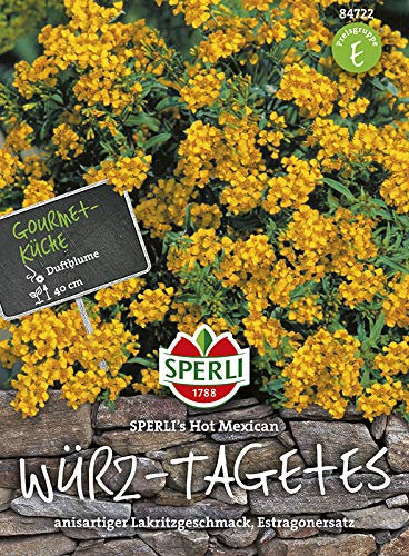 Sperli 84722 Würz-Tagetes Hot Mexican (Würz-Tagetessamen)