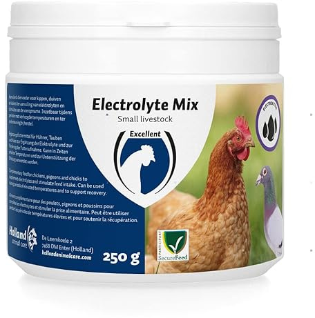 EXCELLENT Fournitures pour l'alimentation Electrolyten-Mix voor kleinvee