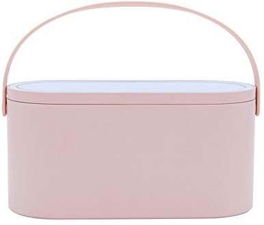 AMYESE 2025 Makeup Case with Mirror, Portable Cosmetics Box with LED Lighted Mirror for Bedroom, Travel, Multi-purpose Makeup Organizer Carrying Storage Case, Travel Size, Gift for Mom Ladies Girls