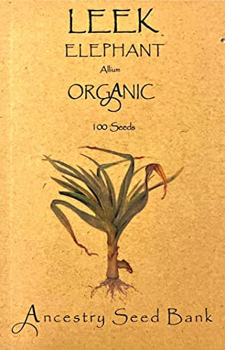 Organic Leek ❁ Elephant ❁ 100 Seeds Heirloom - Non GMO