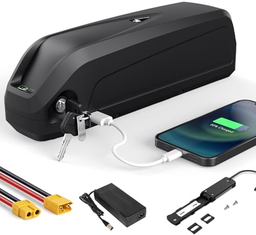 48V 20Ah Hailong Ebike Batterie 48V Lithium Down Tube Batterie de vélo électrique, Fit for 250W 300W 350W 500W 700W 1000W 1500W 1800W Kit de Conversion avec Chargeur