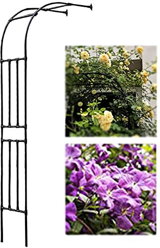 Sweet taize Metal Rose Arch - Weatherproof Garden Arch Gazebo for Climbing Plants Decorative Half Arch Arbor for Wedding Lattice Support for Roses and Vines