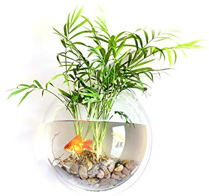 Kavolet Wall Fish Bowl, Small Hanging Goldfish Fish Tanks, Clear Acrylic Betta Fish Tank, for Aquarium Wall Plant Pot Decoration Planter Flower