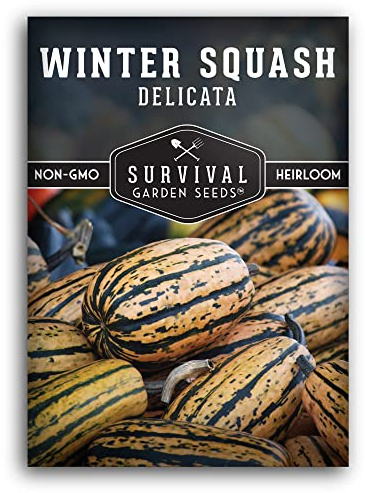 Survival Garden Seeds - Delicata Winter Squash Seed for Planting - Packet with Instructions to Plant and Grow Long-Lasting Winter Food Storage in Your Home Vegetable Garden - Non-GMO Heirloom Variety