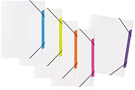 PAGNA 41814-00 Ordnungsmappenset Coool white Trend PP 5 Fächer sortiert mit 5 Stück