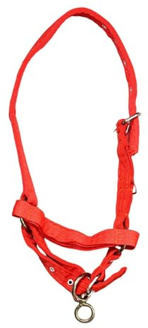 Zxpjkyu Horse Training Halter, Gift Equipment, Heavy Duty Cattle Muzzle, for Horse Riding, S
