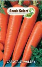 Semi di Carota St. Valery, Bustina di Sementi da Orto