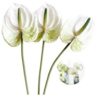Künstliche Anthurium-Lilien,permanente Blume,3 Stück, tropische Kunstpflanzen, Blumensträuße für Tischdekoration,Arrangement und Brautschmuck,Hochzeit,Festival,Dekoration, Blumenarrangement (weiß)