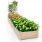 HOMASIS Jardiniere Extérieur Grande Taille avec 3 Treillis, Carré Potager en Bois avec Support pour Plantes Grimpantes, Lit de Jardin pour Terrasse Balcon, Naturel, 222 x 114 x 110 cm
